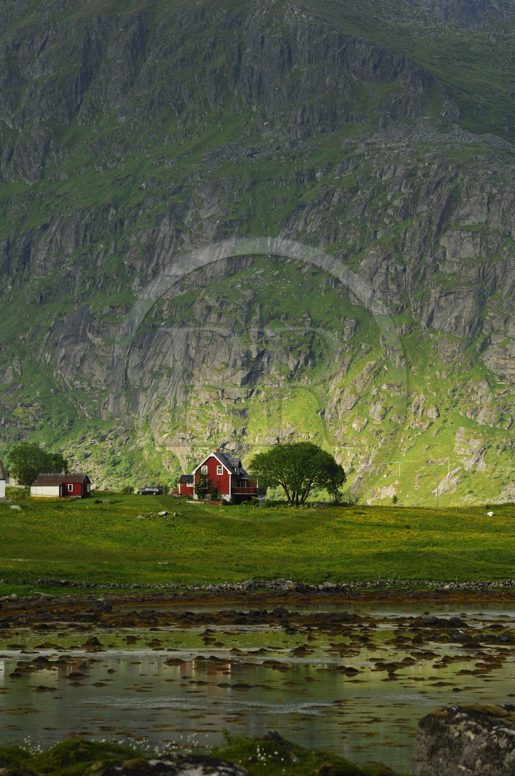 Norway, Nordland County, Lofoten Islands, Flakstad island, small farm