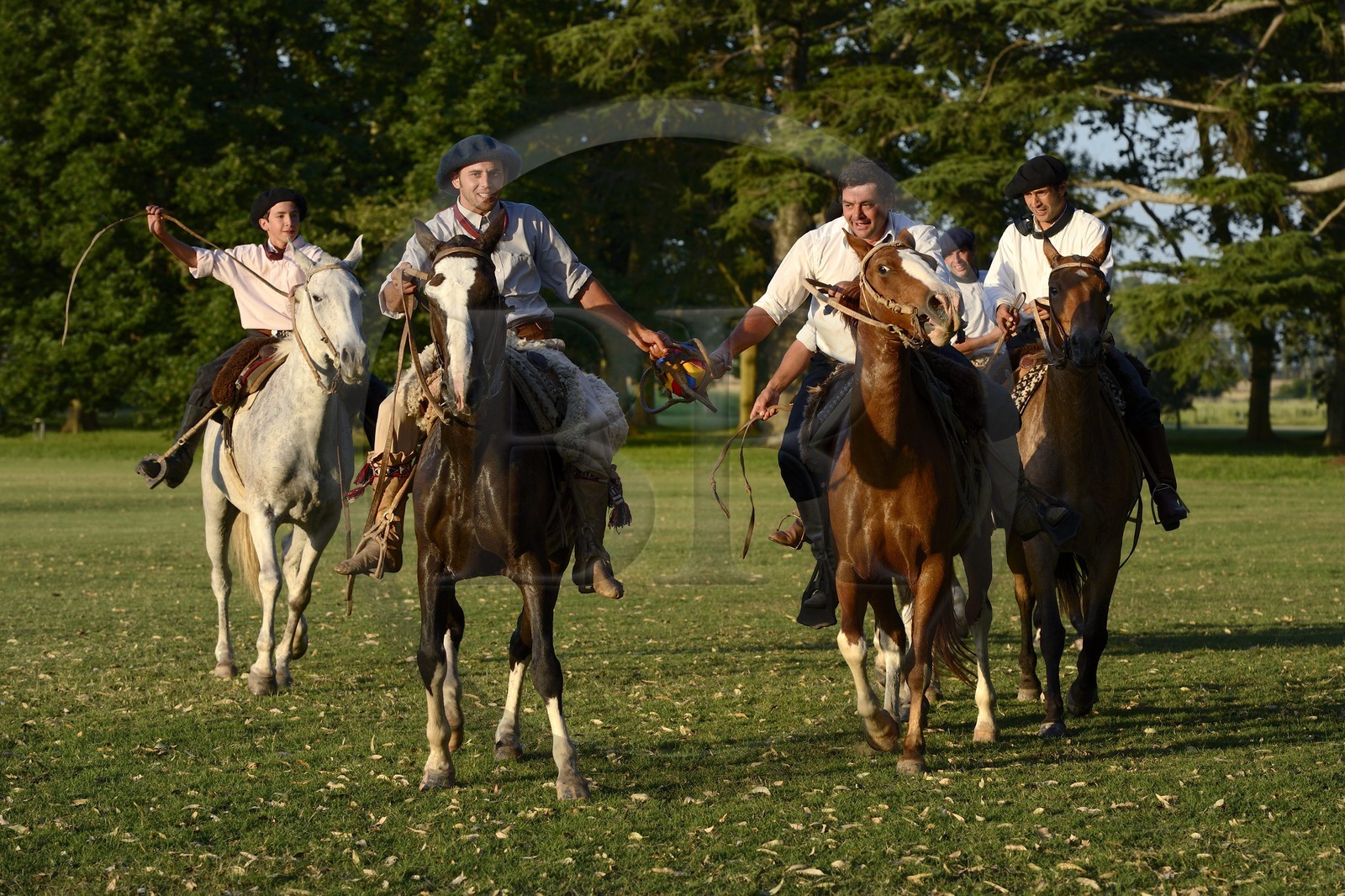 Argentine, province de Buenos Aires, San Antonio de Areco, estancia La Bamba de Areco, gauchos jouant au Pato (horse-ball) qui est un sport d’équipe équestre, mélange de rugby et de basket à cheval