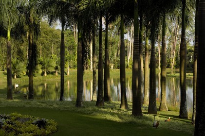 Brésil, Etat du Minas Gerais, région de Belo Horizonte, Brumadinho, le lac du centre d'art contemporain Inhotim