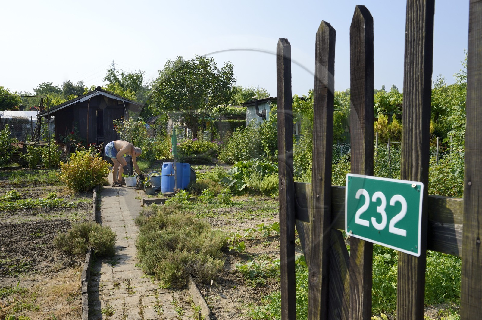 France, Bas-Rhin (67), Strasbourg, quartier de la Robertsau, jardins ouvriers