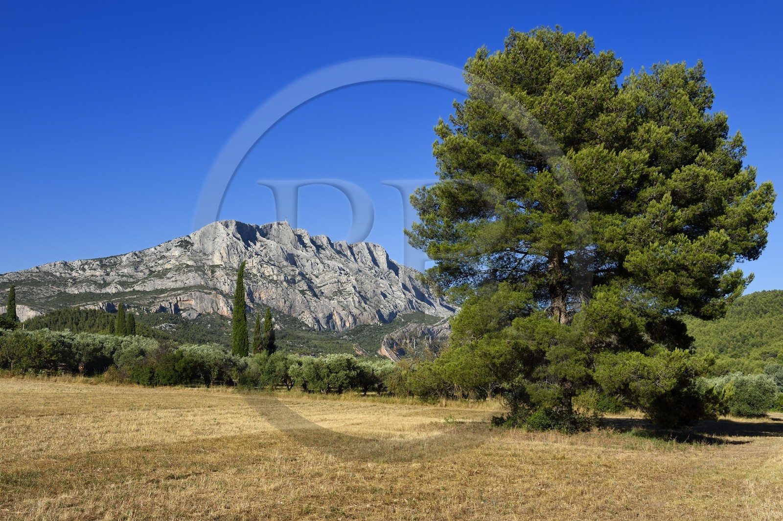 France, Bouches-du-Rhône (13), Pays d'Aix en Provence, vers le Tholonet, la Montagne Sainte Victoire, route Cézanne