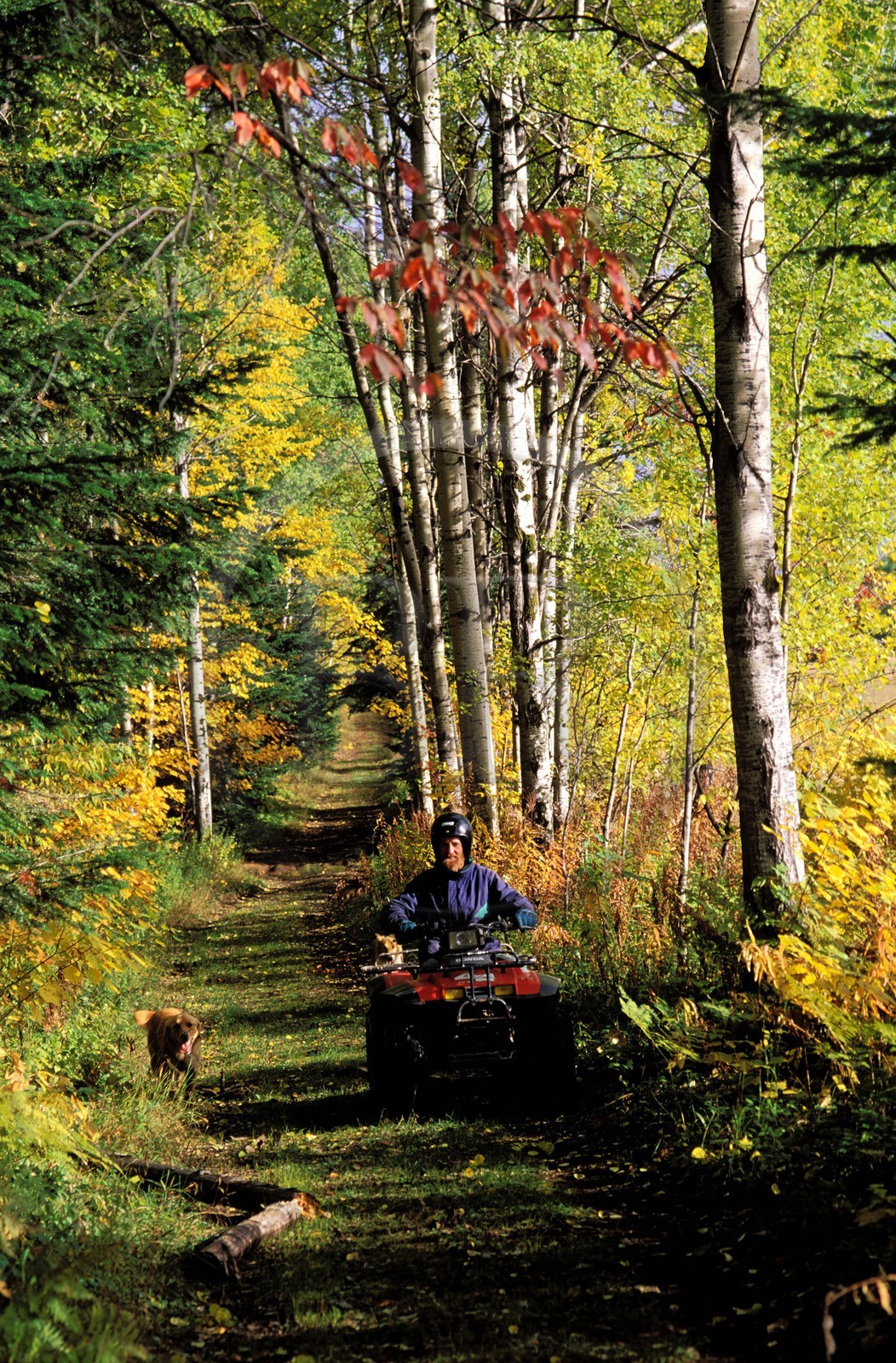 Canada, Quebec Province, Region of Saguenay, Claude Deschênes, farmer inspecting his grounds on board of his quad