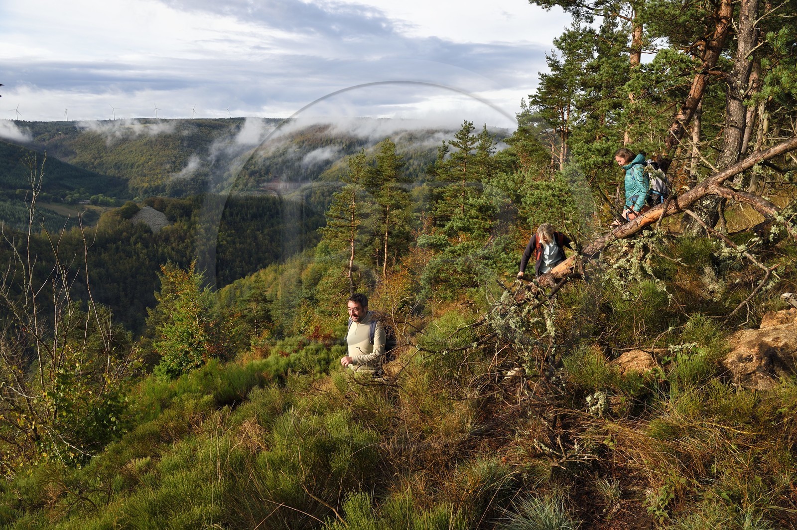 France, Ardeche, parc naturel regional des Monts d'Ardeche (Regional natural reserve of the Mounts of Ardeche), Mezenc Massif, Lac d'Issarles forest, hikers at the top of Montchamp overlooking the Loire Valley