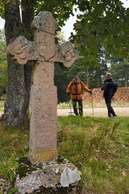 France, Haut-Rhin (68), Thannenkirch, randonnée dans le massif du Taennchel, croix datée de 1851 sur le haut du Schillig probablement dédiée à un bucheron décédé à cet endroit