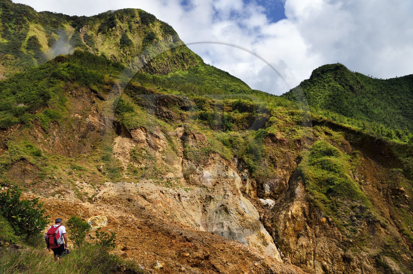 Caraïbes, Ile de la Dominique, Castle Bruce, Parc national du Morne Trois Pitons classé Patrimoine Mondial de l'UNESCO, la Vallée de la Désolation, randonnée sur le sentier menant au Boiling Lake