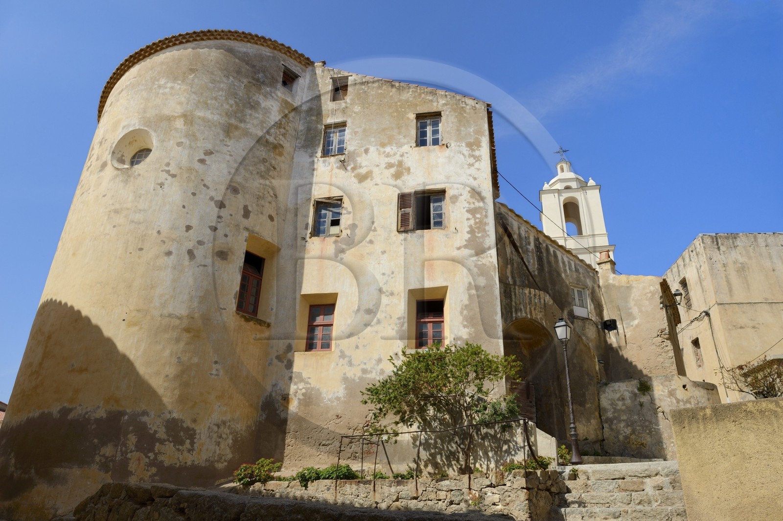 France, Haute-Corse (2B), Calvi, la citadelle, maison et clocher de la cathédrale