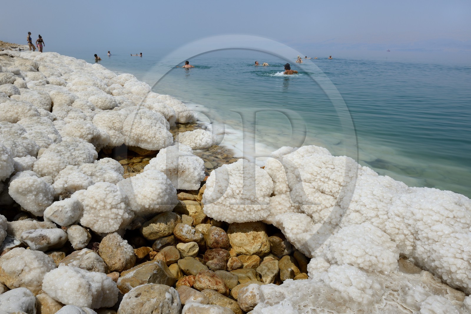 Israel, District sud,  baigneurs à la plage de Ein Gedi sur la Mer Morte, concrétions salines