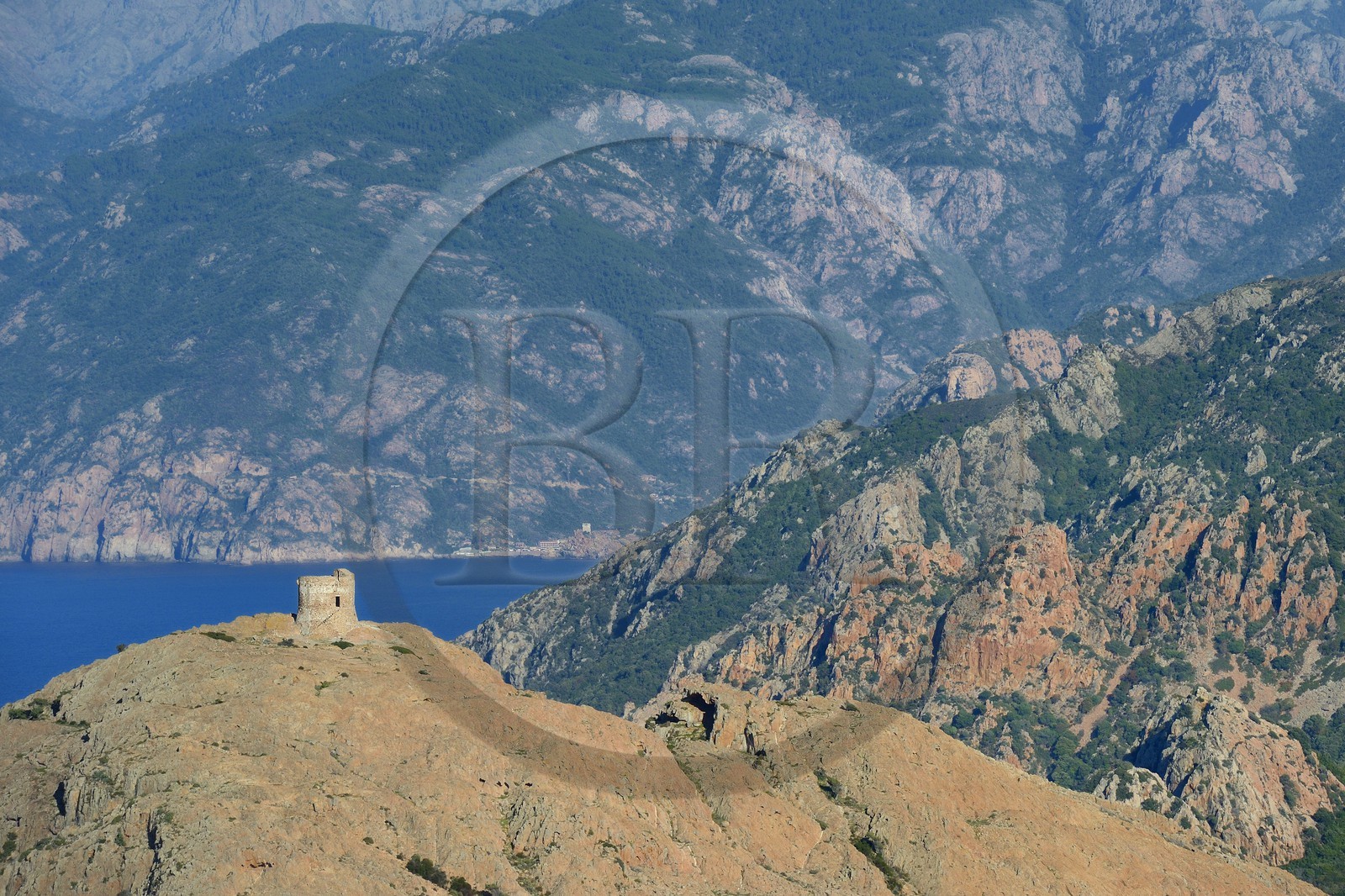 France, Corse-du-Sud (2A), Golfe de Porto, classé Patrimoine Mondial de l'UNESCO, le Capo Rosso et la Tour Génoise de Turghiu (Turghio) en arrière plan (vue aérienne)