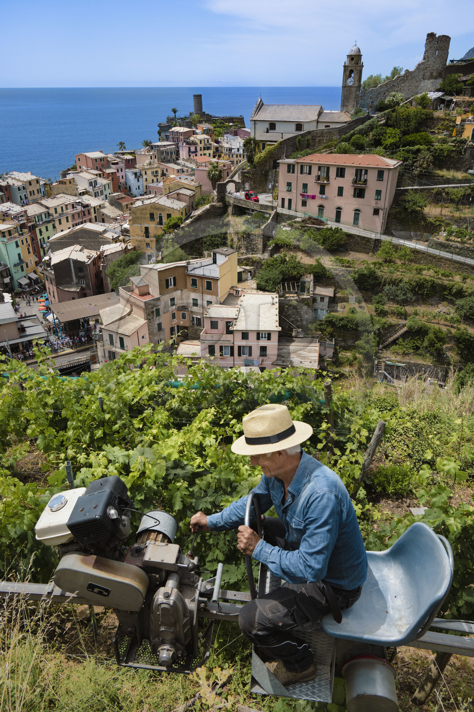 Italy, Liguria, Cinque Terre National Park listed as World Heritage by UNESCO, village of Vernazza, Bartolomeo Lercari, owner and operator of DO Liguria di Levante Cheo wines on his cogwheel monorail for harvesting on these extremely steep lands