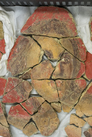 France, Bouches-du-Rhône (13), Arles, musée départemental Arles antique, salle d’étude du service archéologie, recherches des fouilles du site de l'ancienne verrerie de Trinquetaille sur la rive droite du Rhone, maison de la harpiste (entre 70 et 50 av. J.-C.), fragments de la peinture murale à fresque d'un personnage masculin du décor de la salle de reception adoptant du rouge vermillon avec le pigment le Cinabre le plus couteux du monde romain