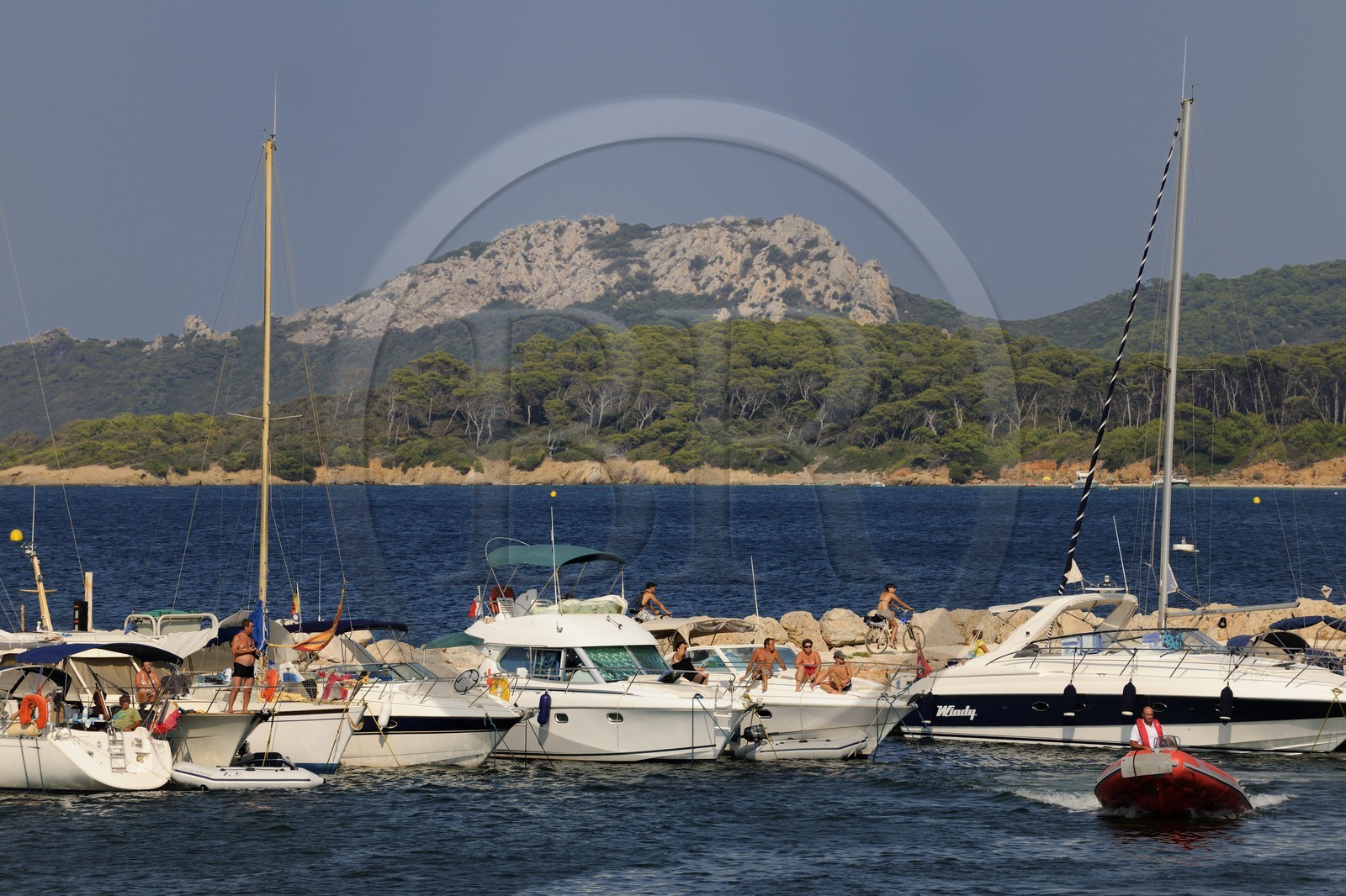 France, Var (83), Iles d'Hyères, parc national de Port-Cros, île de Porquerolles, le port