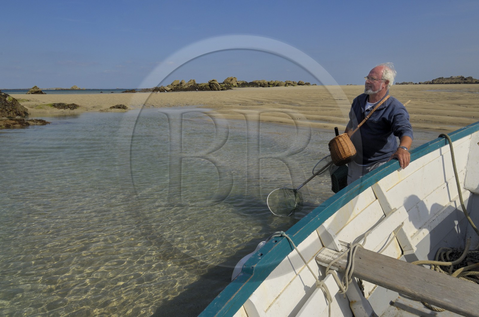 France, Manche (50), archipel des îles Chausey, pêche à pied de bouquets à marée basse