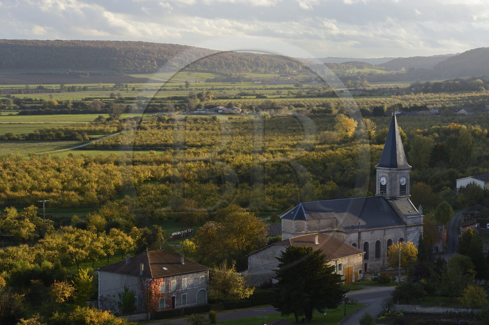 France, Meuse (55), Parc régional de Lorraine, Cotes de Meuse, l'église de Buxières-sous-les-Côtes et mirabellier dans la plaine de la Woëvre