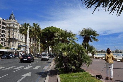 France, Alpes-Maritimes (06), Cannes, le palace du Carlton sur le boulevard de la Croisette