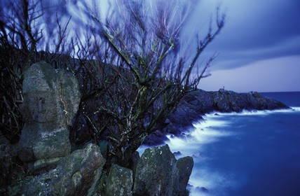 France, Ille-et-Vilaine (35), Rotheneuf, les rochers sculptés de l' abbé Fouré (entre 1870 et 1900)