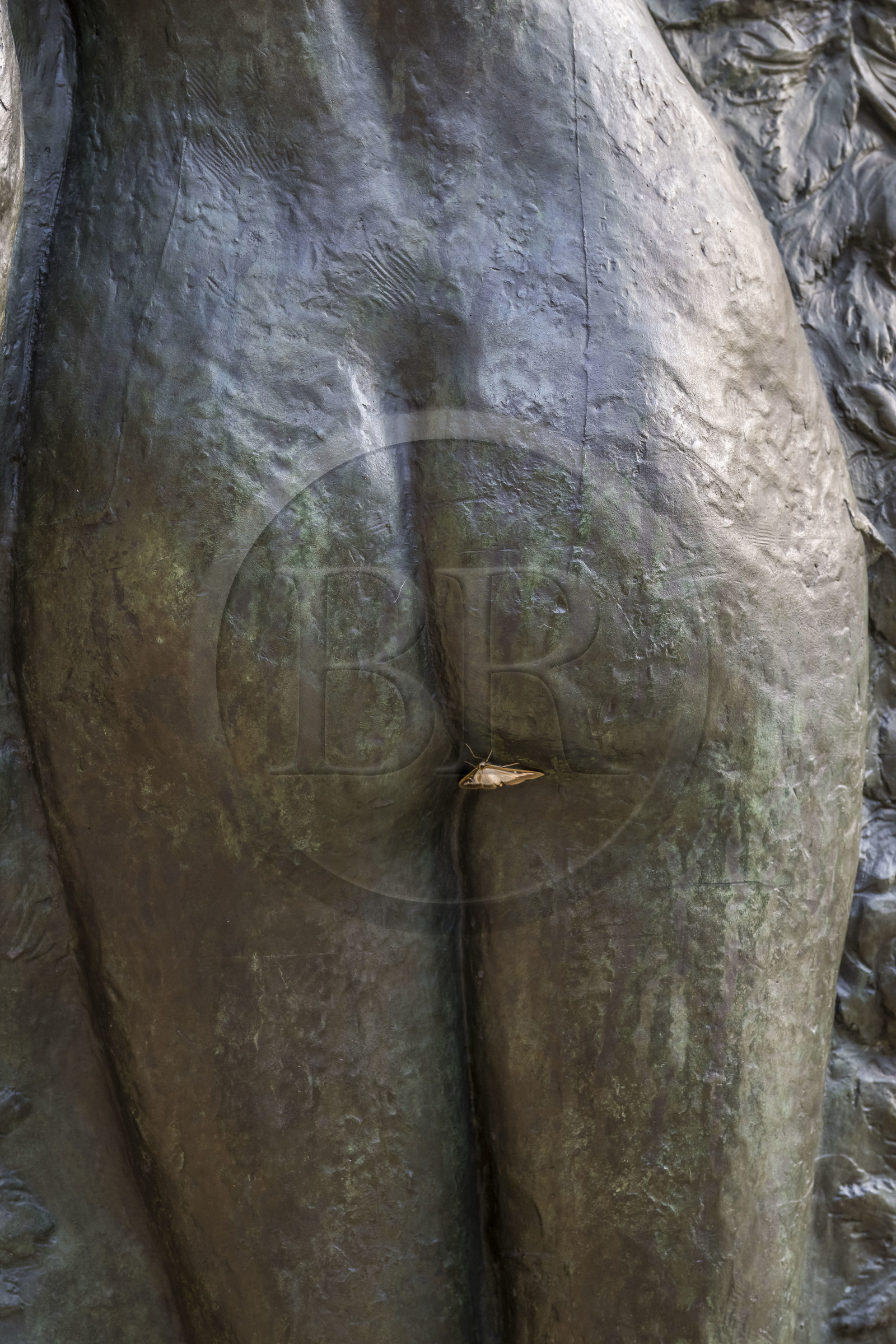 France, Paris, the museum of the sculptor Antoine Bourdelle, buttocks with butterfly, detail of a bas-relief in the interior garden (bronze)