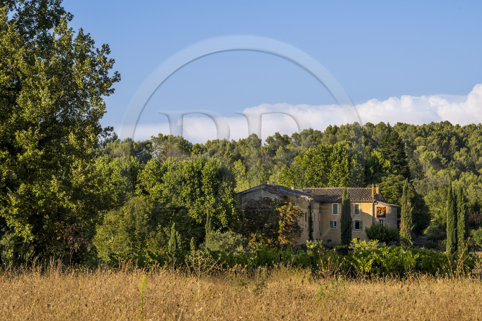 France, Var (83), Provence Verte, Bras, vers Saint-Maximin-la-Sainte-Baume, la maison d'hotes Le Peyrourier - une campagne en Provence