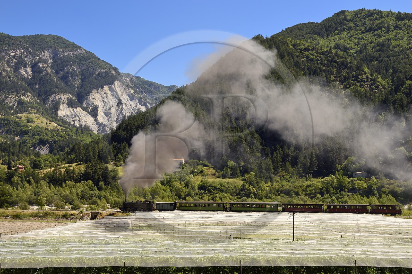 France, Alpes-de-Haute-Provence (04), Entrevaux, le Train des Pignes entre cultures et montagnes