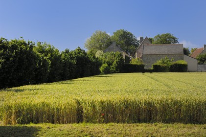 France, Indre-et-Loire (37), Vallée de la Loire classée Patrimoine Mondial de l' UNESCO,  Seuilly, La Devinière, maison de François Rabelais