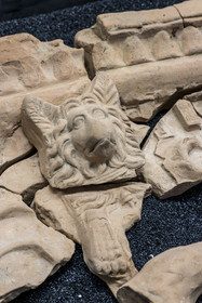 France, Bouches-du-Rhône (13), Arles, musée départemental Arles antique, salle d’étude du service archéologie, recherches des fouilles du site de l'ancienne verrerie de Trinquetaille sur la rive droite du Rhone, maison de la harpiste (entre 70 et 50 av. J.-C.), figure de chien protecteur en tuile et gargouilles de la toiture de l'atrium