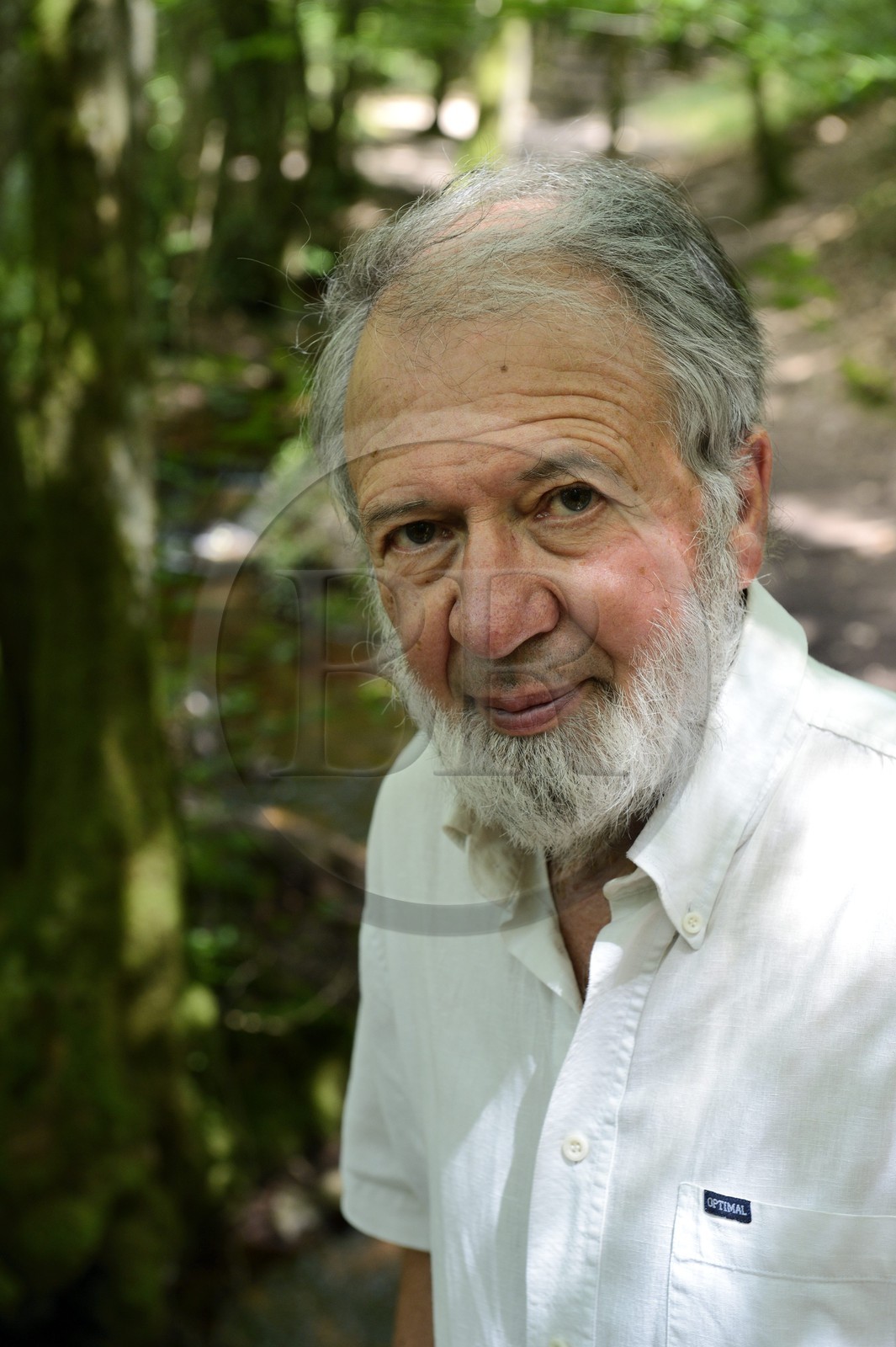 France, Morbihan (56), forêt de Brocéliande, Tréhorenteuc, l'écrivain et conteur Jacky Ealet