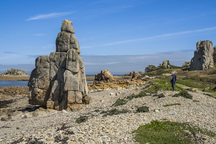 France, Cotes-d'Armor, Cote d'Ajoncs, Plougrescant, Pors (Porz) Scaff beach at low tide
