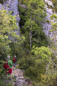 France, Vaucluse, Mont Ventoux Regional Natural Park, Monieux, Gorges de La Nesque, Hikers descending a trail towards the canyon floor