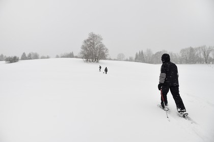 France, Haute-Savoie (74), Arâches-la-Frasse, station de ski Les Carroz d'Arâches, randonnée en raquettes