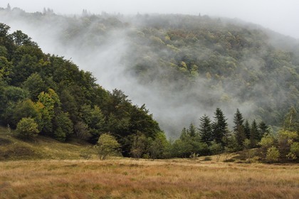 France, Vosges (88), Parc naturel régional des ballons des Vosges, Saint-Maurice-sur-Moselle, chaume des Neuf Bois, tourbière entouré par la foret