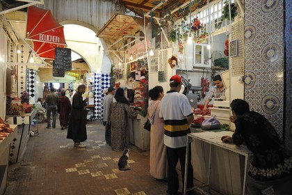 Maroc, Meknès, ville impériale, médina classée Patrimoine Mondial de l' UNESCO, marché couvert de el Hédime, chat devant l'étal du boucher