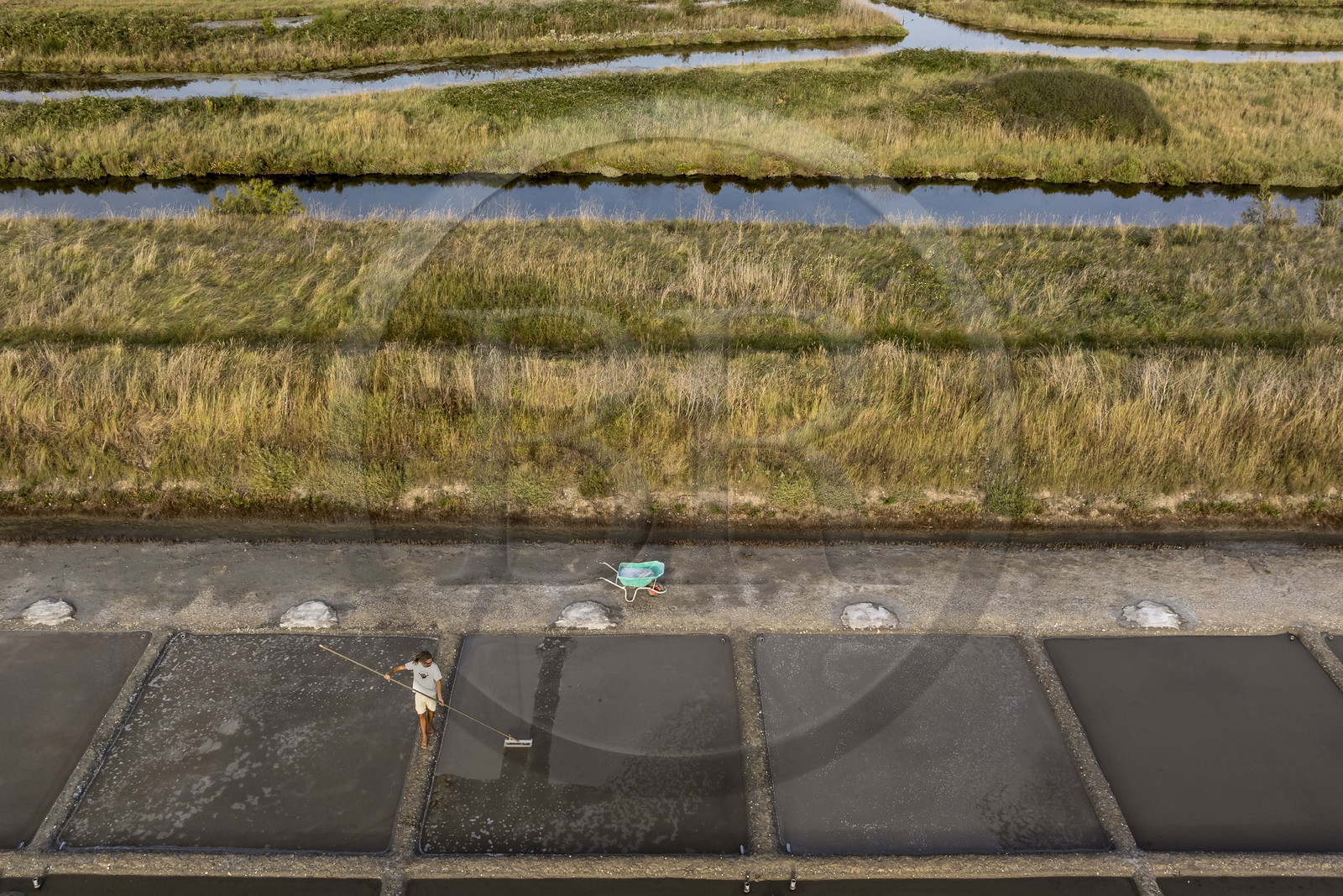 France, Charente Maritime, Oleron island, Saint Georges d'Oléron, artisanal picking of flower of salt by salt worker Samuel Barbereau (aerial view)