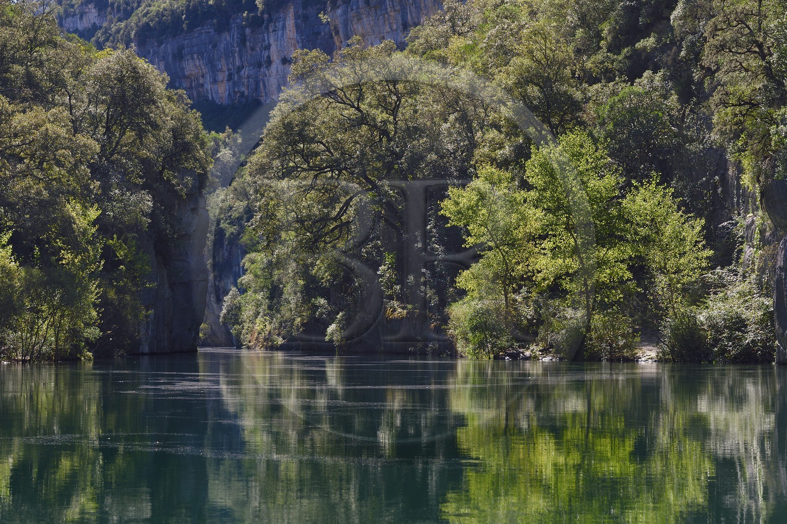 Var on the Left Bank and Alpes de Haute Provence on the Right Bank, Parc Naturel Regional du Verdon, Basses Gorges du Verdon downstream of Lake St. Croix, gorges de Baudinard.