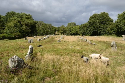 France, Morbihan, Carnac, row of megalithic standing stones at Kermario