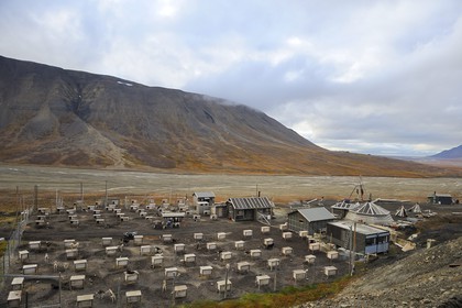 Norway, Svalbard (Spitzbergen), Longyearbyen, raising sled dogs