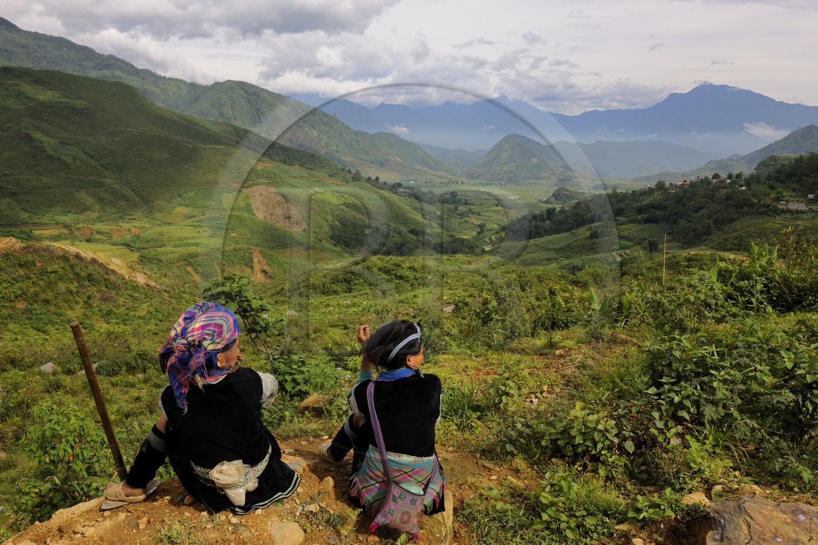 Vietnam, province de Lao Cai, région de Nord-Ouest de Sapa, paysans de la minorité Hmong Bleu