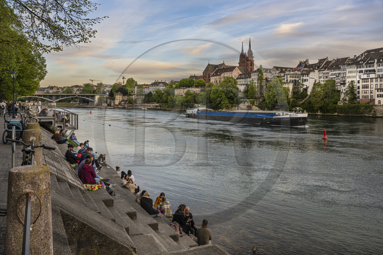 Suisse, Bâle, les quais du quartier du Petit Bâle sur la rive droite du Rhin s'animent à la tombée du soir, une péniche descend le fleuve, la cathédrale protestante Notre-Dame de Bâle (Munster) en arrière plan