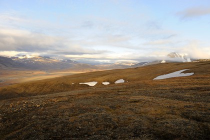 Norvège, Svalbard (Spitzberg), toundra dans la région de Longyearbyen