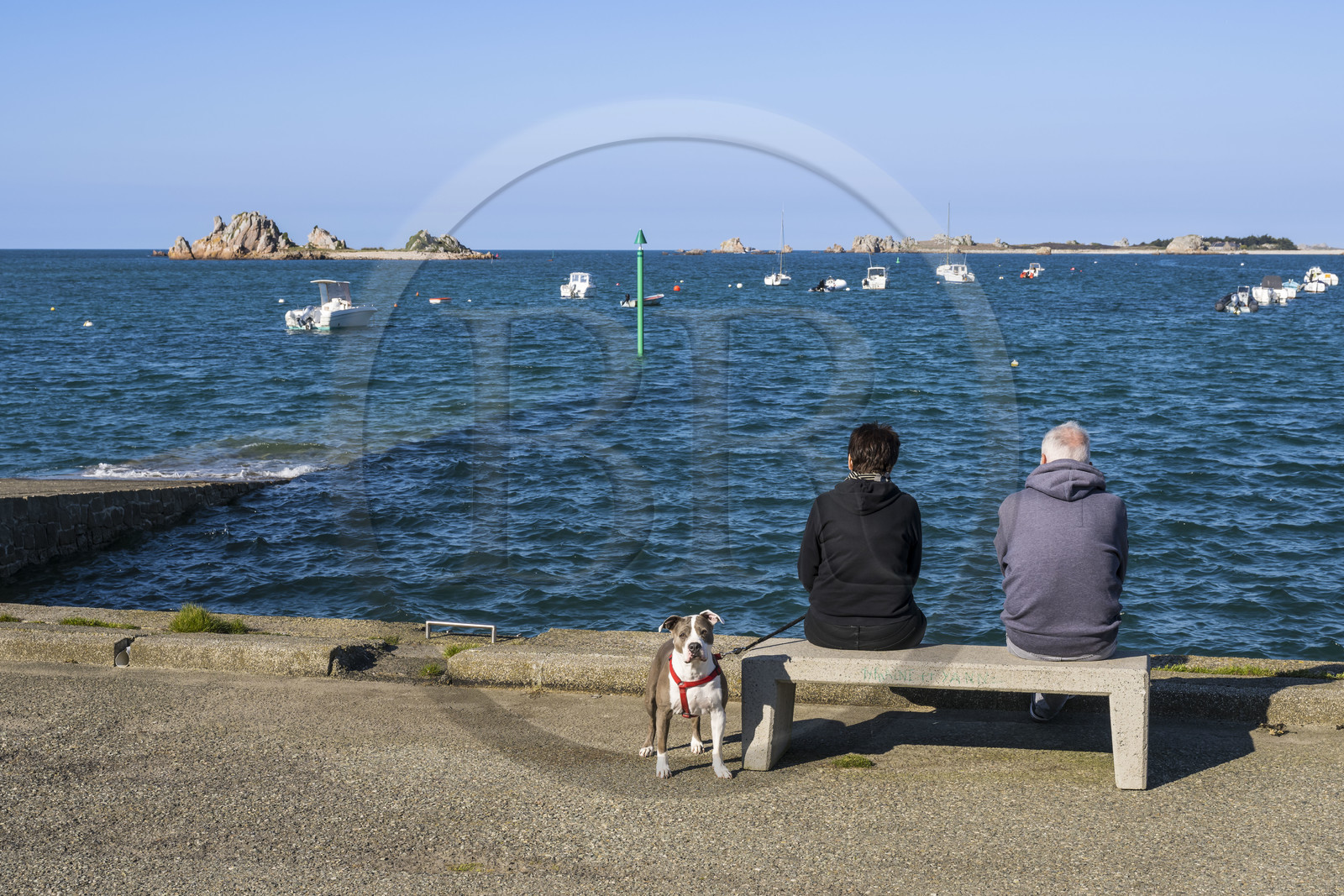 France, Côtes-d'Armor (22), Côte d'Ajoncs, Penvénan, le petit port de Buguélès