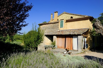 France, Var, Provence Verte (Green Provence), Bras village next to Saint Maximin, Le Peyrourier Bed & Breakfast, une campagne en Provence