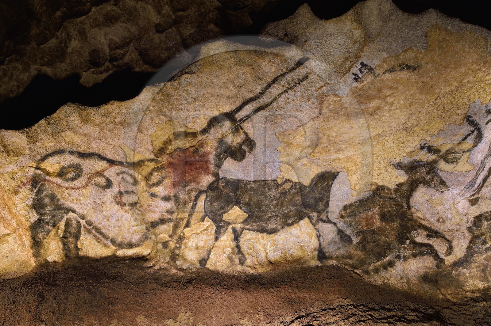 France, Dordogne, Perigord Noir, Vezere Valley, Montignac sur Vezere, Lascaux II caves, reconstitution of the prehistoric site and decorated cave listed as World Heritage by UNESCO, animal nicknamed the Unicorn