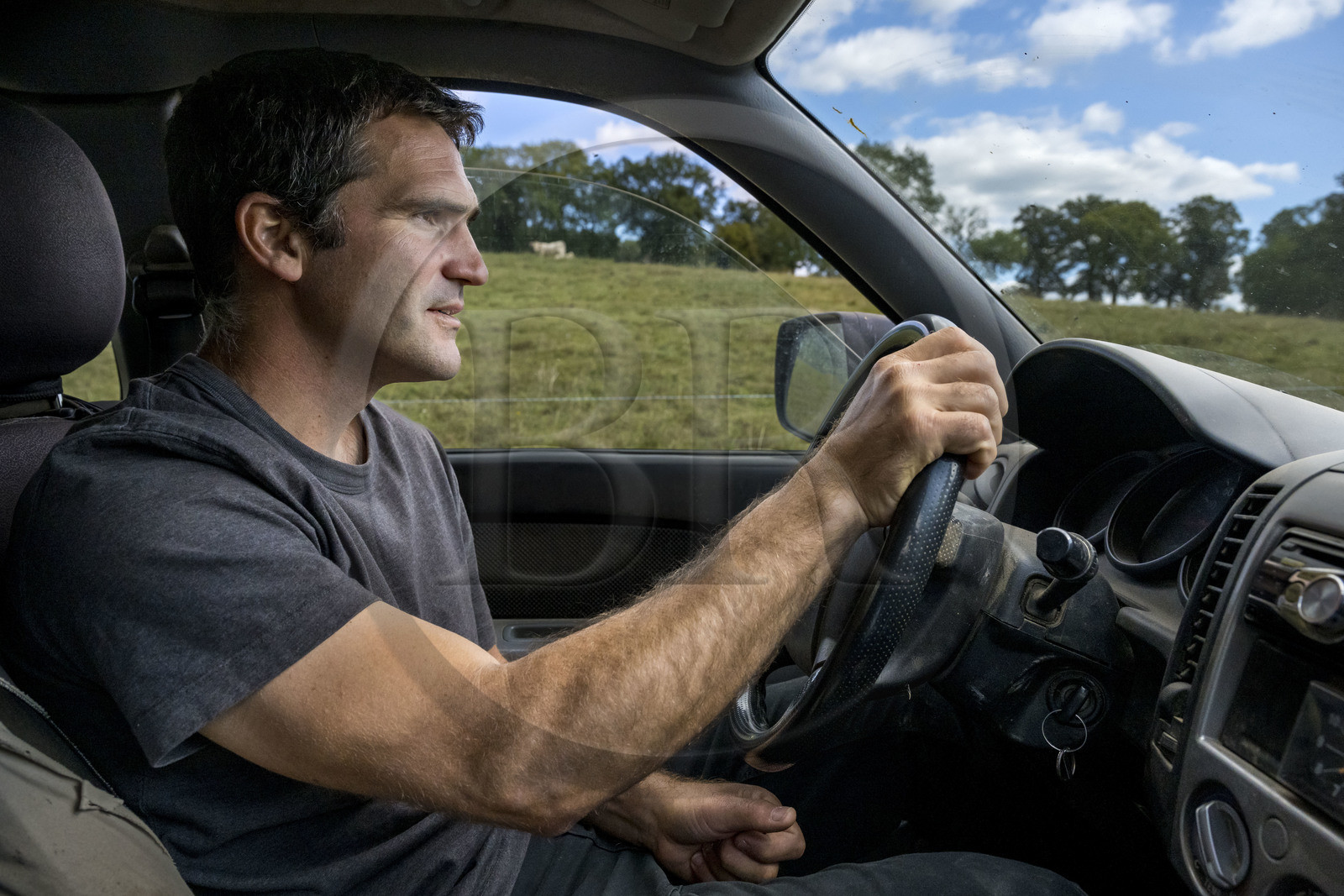 France, Nièvre (58), Parc naturel régional du Morvan, Millay, Ferme Les Prairies Gourmandes, Emmanuel Dumas éleveur de vaches Charolaises