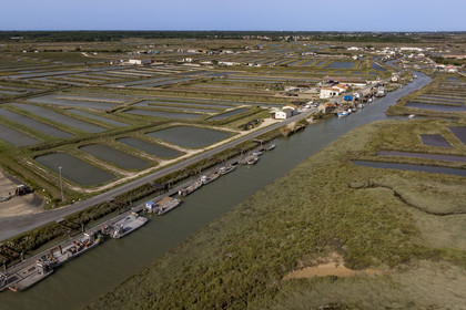 France, Charente-Maritime (17), Ile d'Oléron, Dolus-d’Oléron, le port ostréicole du Chenal d'Arceau