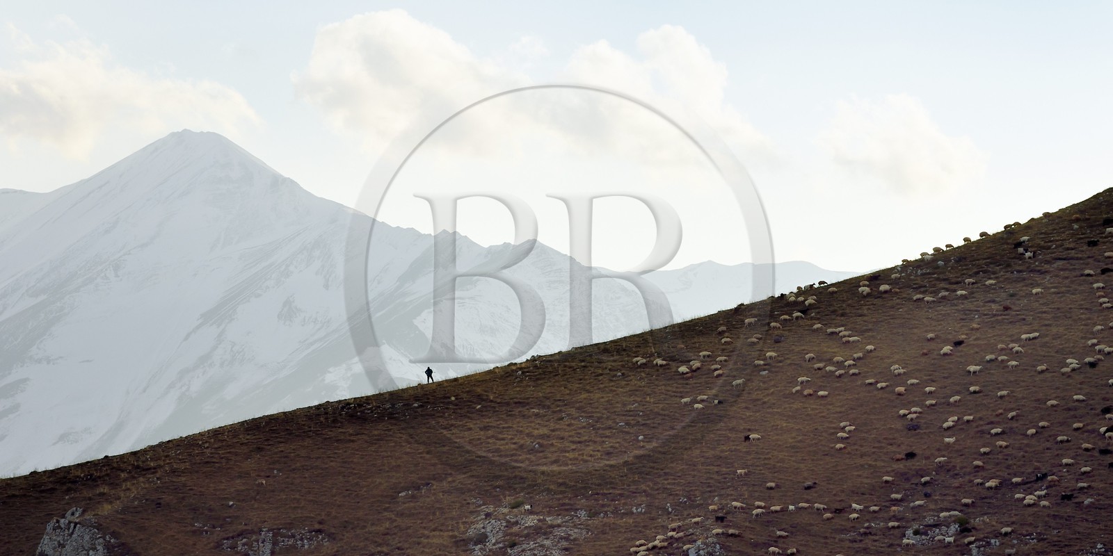 Azerbaijan, Quba (Guba) region, Greater Caucasus mountain range, hiking between the village of Qalaxudat and Giriz, shepherd and his flock of sheep