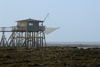 France, Charente-Maritime (17), Ile Madame, carrelets sur la côte