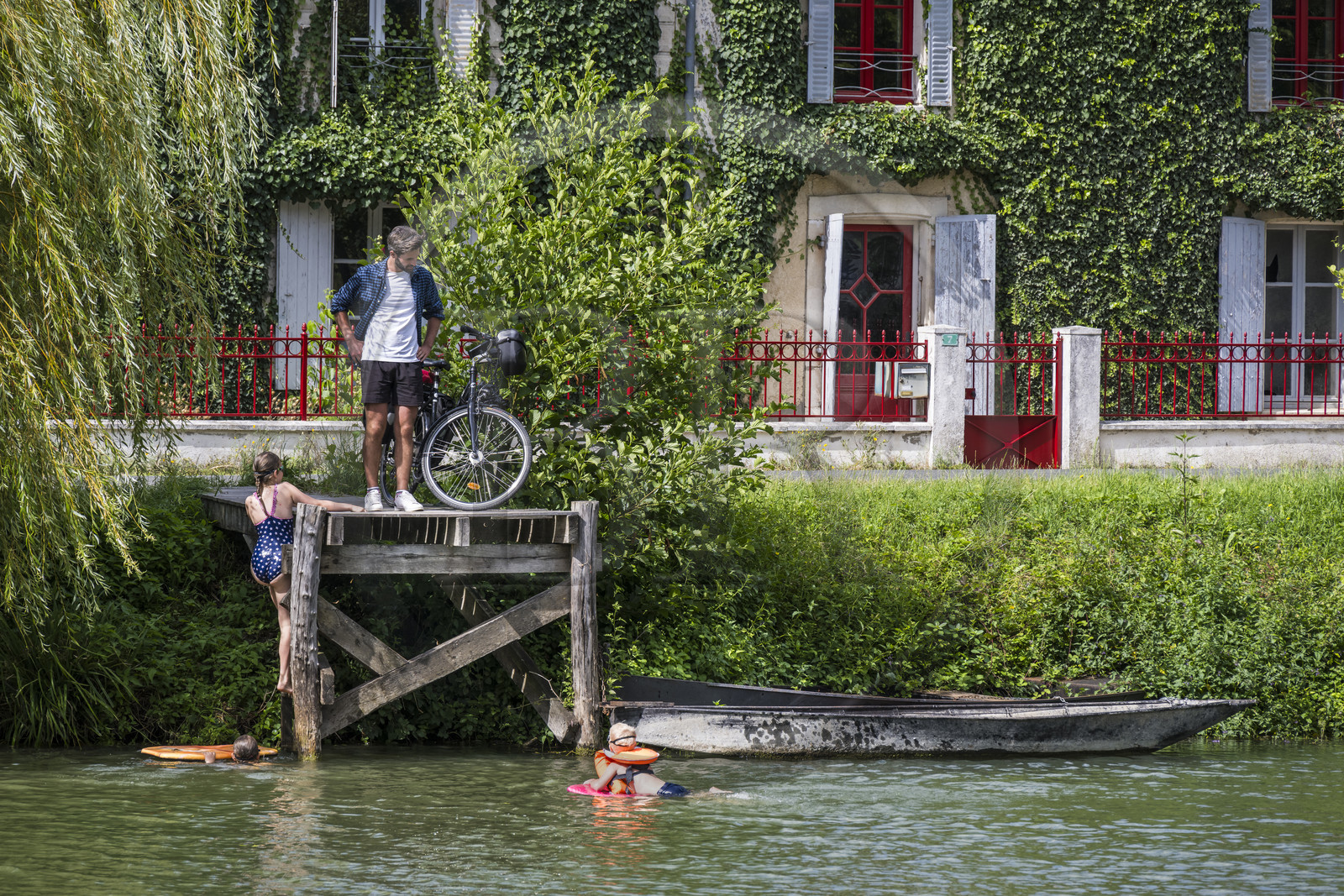 France, Deux-Sèvres (79), le Marais Poitevin, la Venise Verte, Le Mazeau, randonnée à bicyclette le long de la Sèvre Niortaise sur la voie cyclable de la Vélo Francette