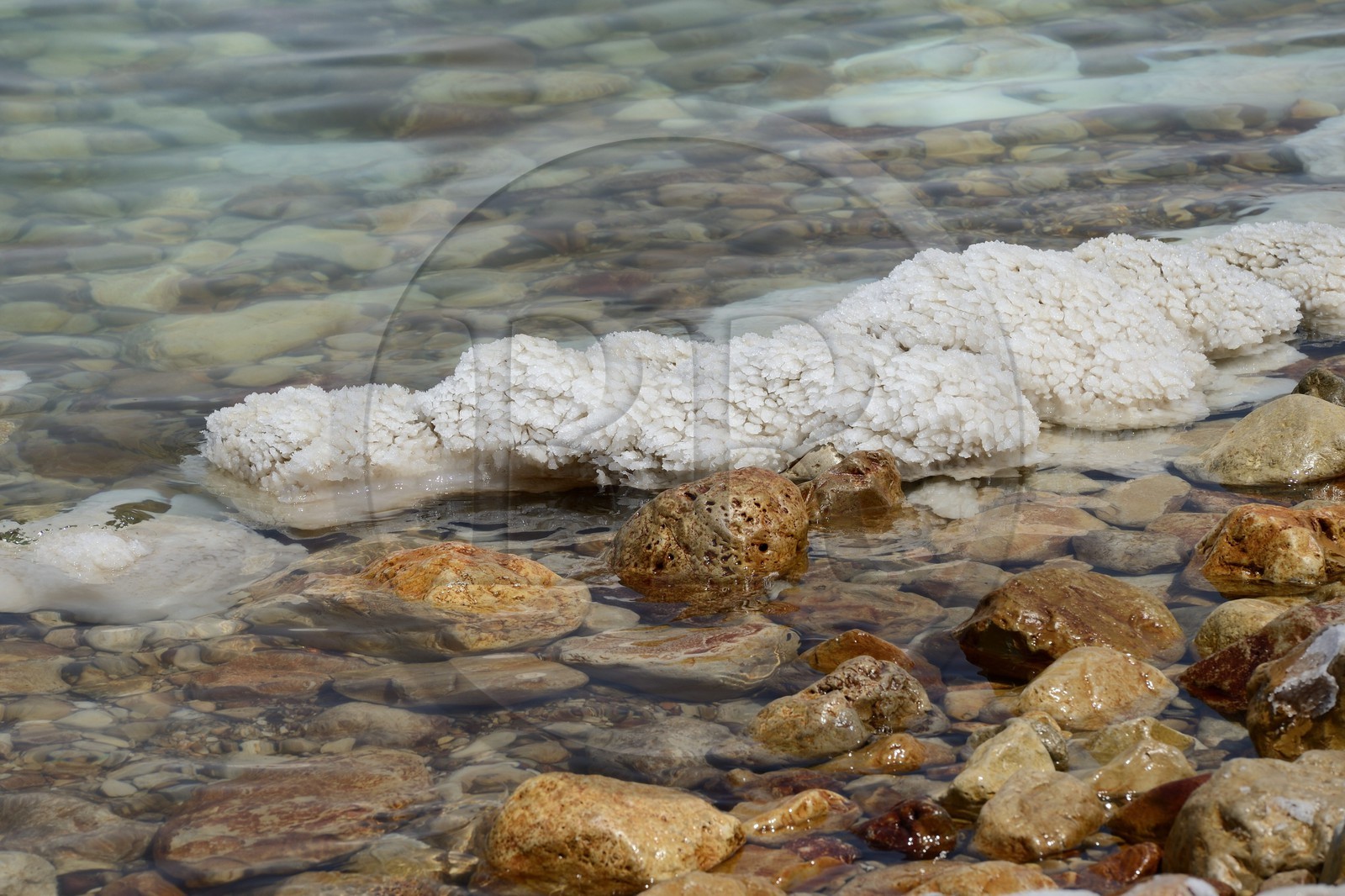 Israel, District sud,  plage de Ein Gedi sur la Mer Morte, concrétions salines
