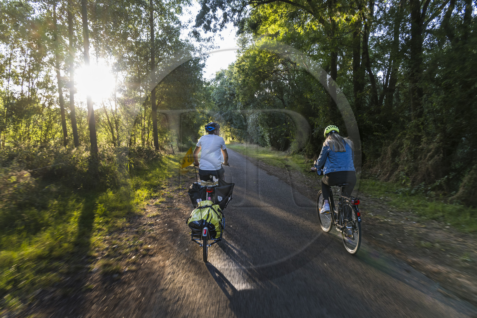 France, Maine-et-Loire, Loire valley listed as World Heritage by UNESCO, Saumur towards Saint-Hilaire, cycling along the banks of the Loire on the Loire à Vélo cycle path, bike with a trailer carrying camping equipment