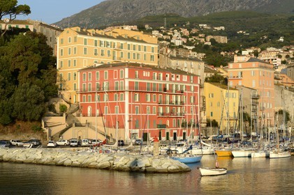 France, Haute Corse, Bastia, buildings on the traditional port quay Albert Gillio