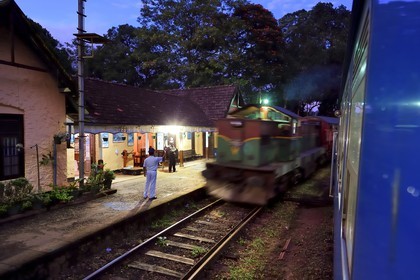 Sri Lanka, Province d'Uva, trajet en train dans la région montagneuse de la culture du thé entre Hatton et Badulla, Gare de Haliela, le chef de gare