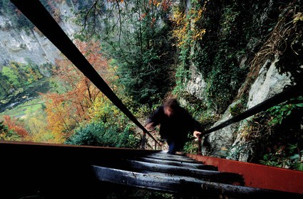 France, Doubs, death ladder in the Doubs river valley on the Swiss French border